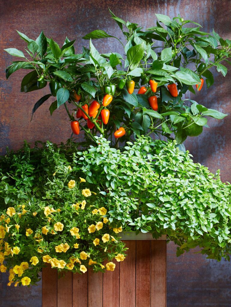 container garden ideas