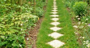 garden path ideas
