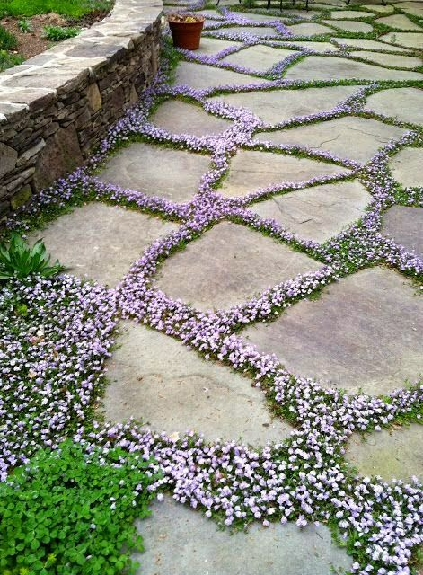 Creative Ways to Design Your Garden Pathways