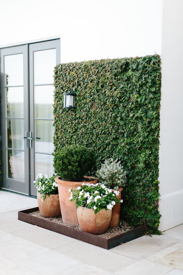 Creative Ways to Design a Charming Garden Wall