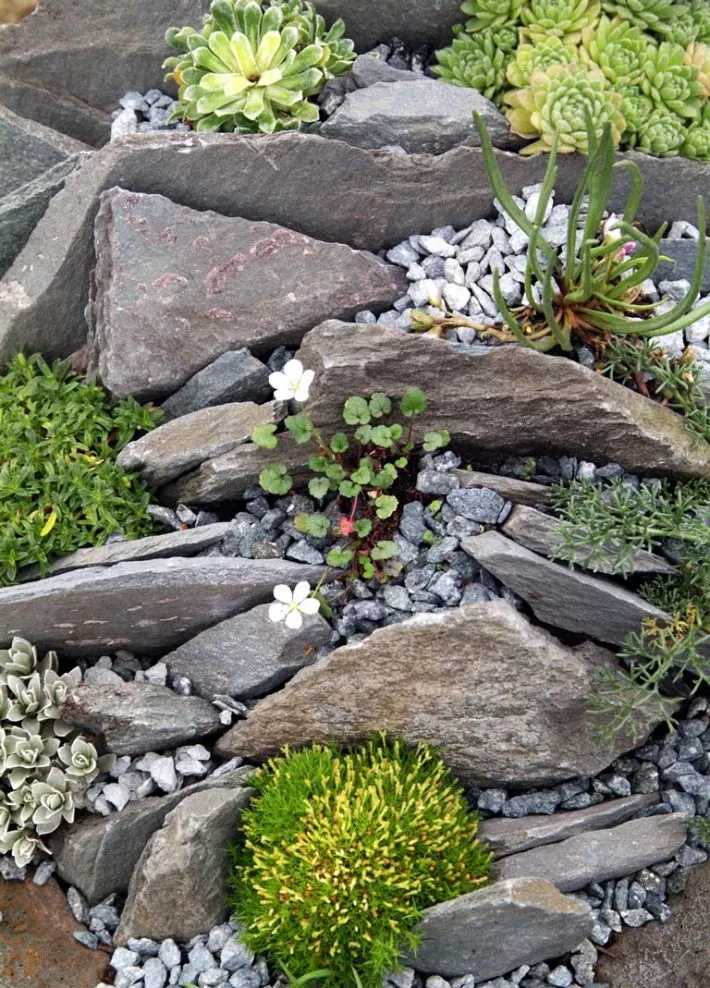 Creative Ways to Design a Charming Rock Garden for Small Outdoor Spaces