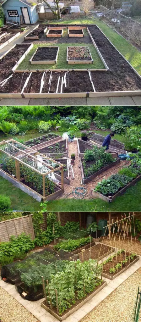 raised bed garden ideas