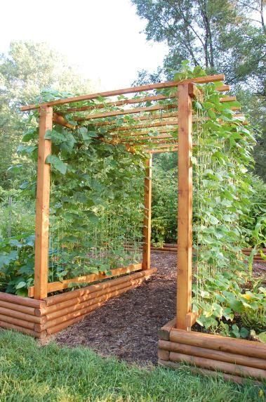Creative Ways to Design a Raised Bed Garden in Your Backyard