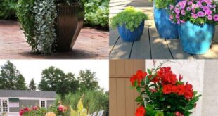 container garden ideas