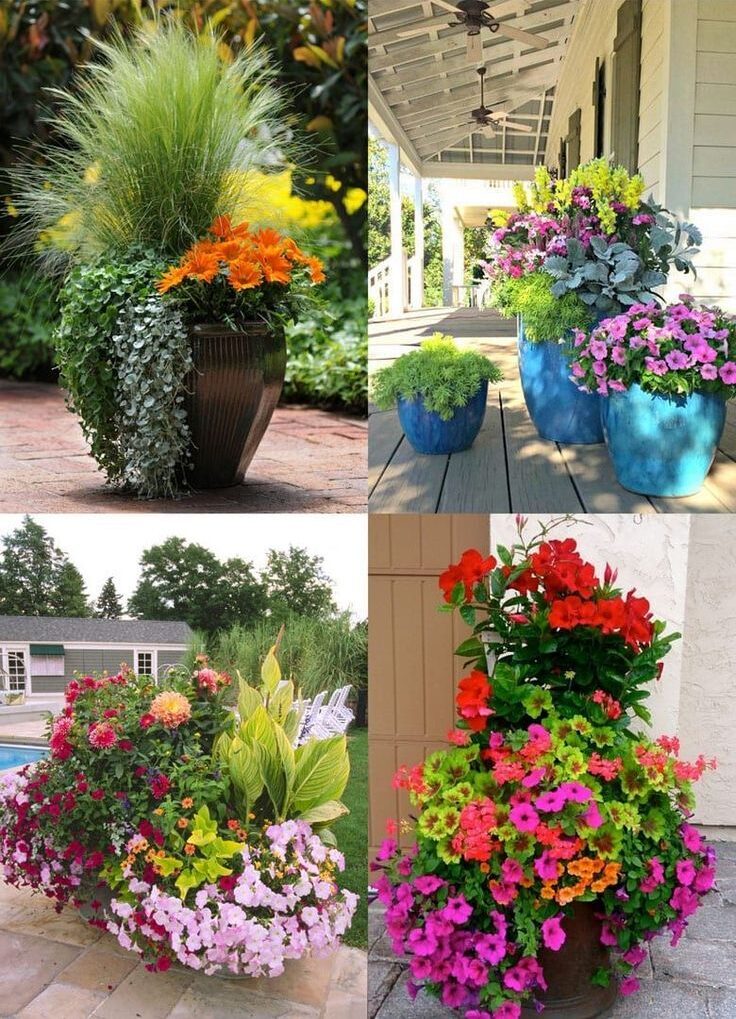 Creative Ways to Design a Stunning Container Garden