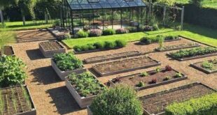 vegetable garden ideas