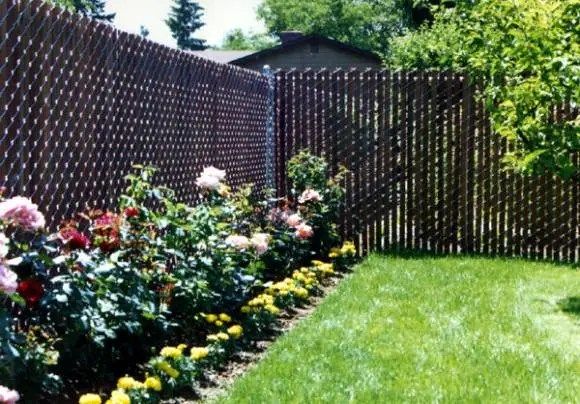 chain link fence ideas cover up
