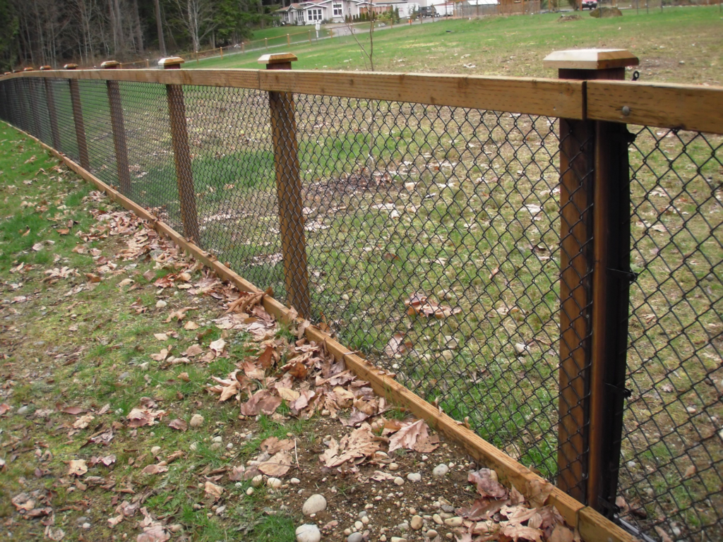 chain link fence ideas cover up