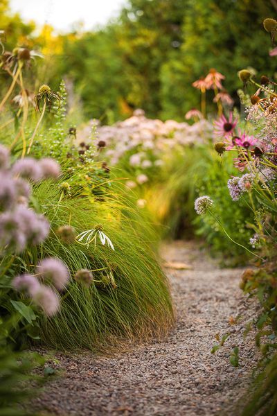 Creative Ways to Enhance Your Garden Path With Style