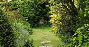 garden path ideas