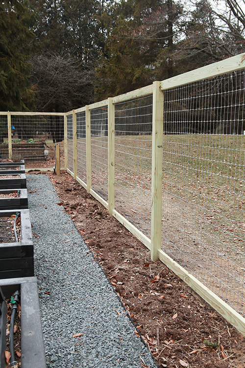 Creative Ways to Enhance Your Garden with Fencing