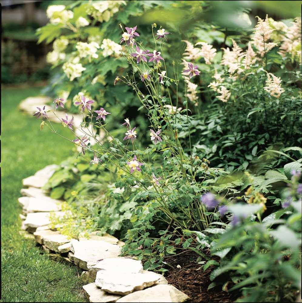 Creative Ways to Enhance Your Landscape with Edging