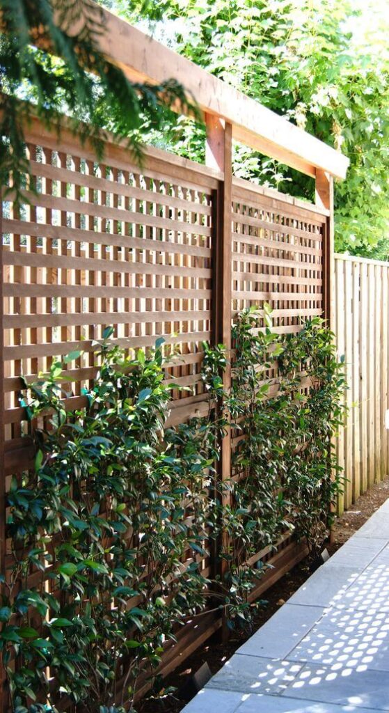 privacy fence ideas
