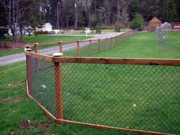 Creative Ways to Keep Your Canine Companion Safe: Unique Dog Fence Ideas