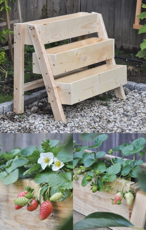 Creative Ways to Make Your Own Garden Planter Boxes