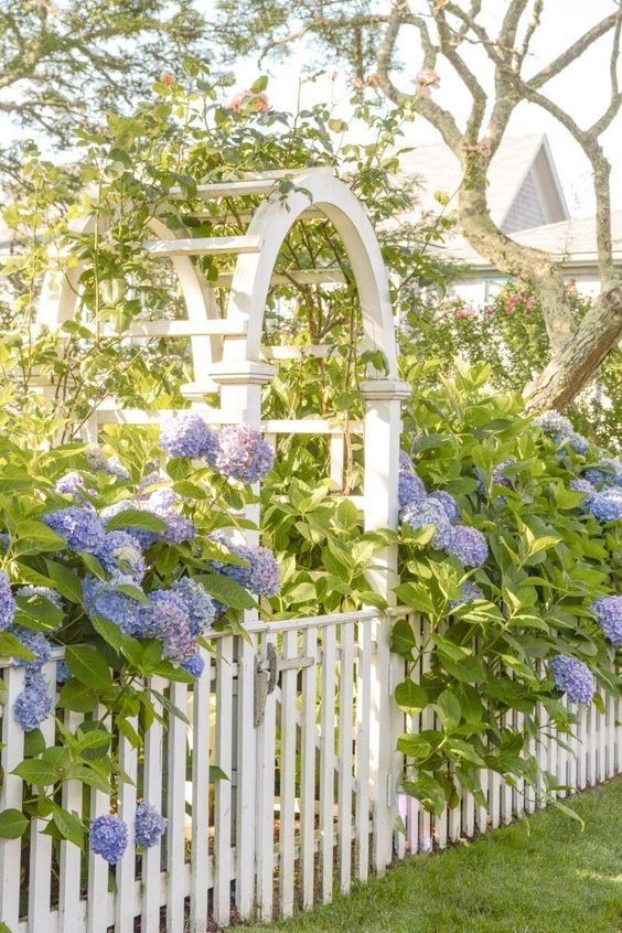 Creative Ways to Make Your Picket Fence Stand Out