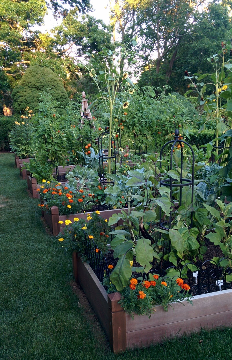 Creative Ways to Plan Your Vegetable Garden