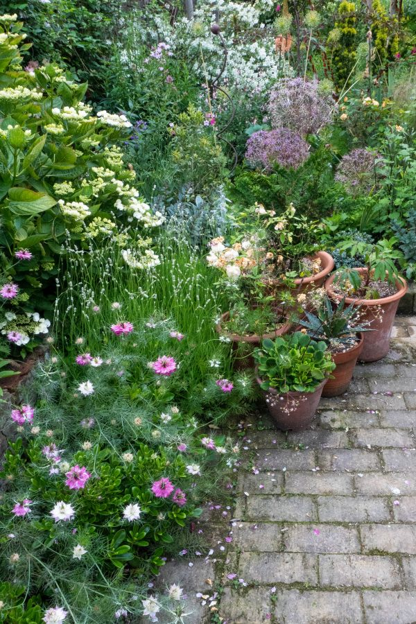 small garden planting ideas