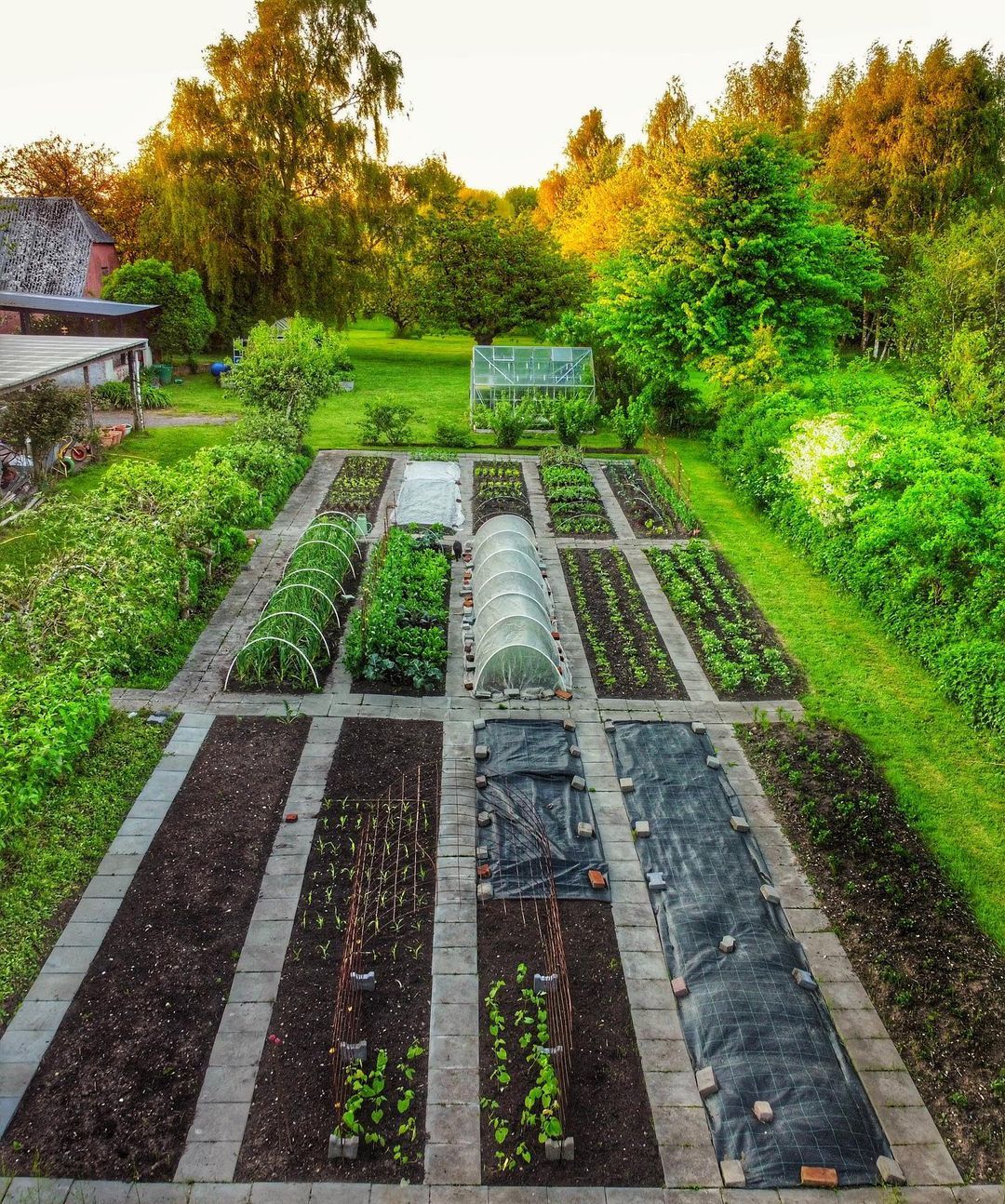 Creative Ways to Spruce Up Your Vegetable Garden