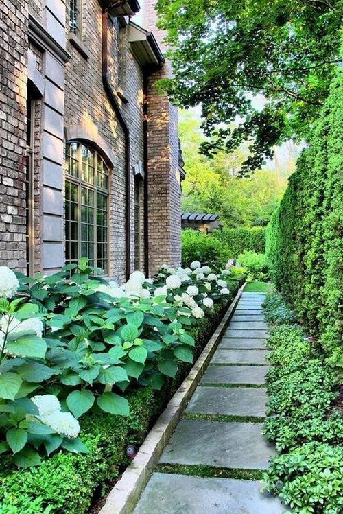 Creative Ways to Transform Your Side Yard into a Stunning Outdoor Oasis