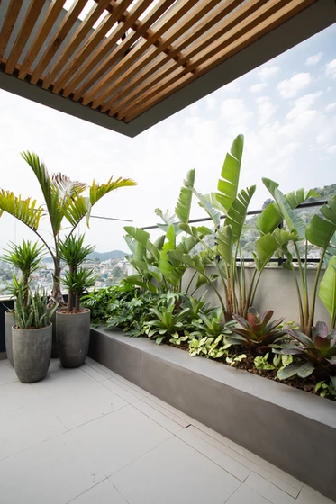 Creative Ways to Transform Your Terrace Into a Garden Paradise