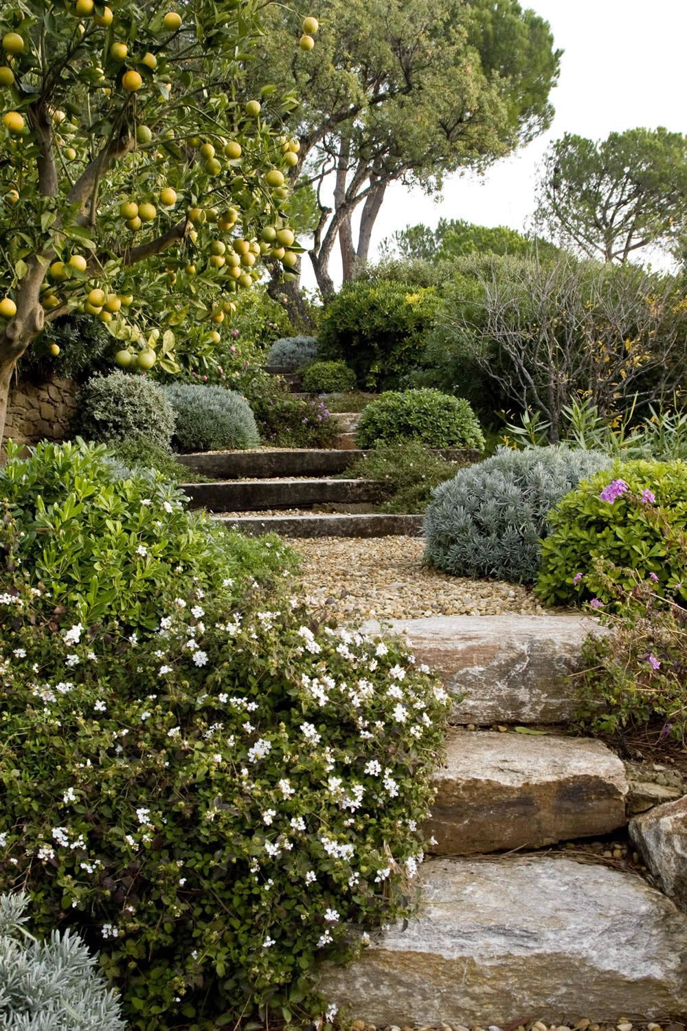 Creative Ways to Transform a Sloped Garden