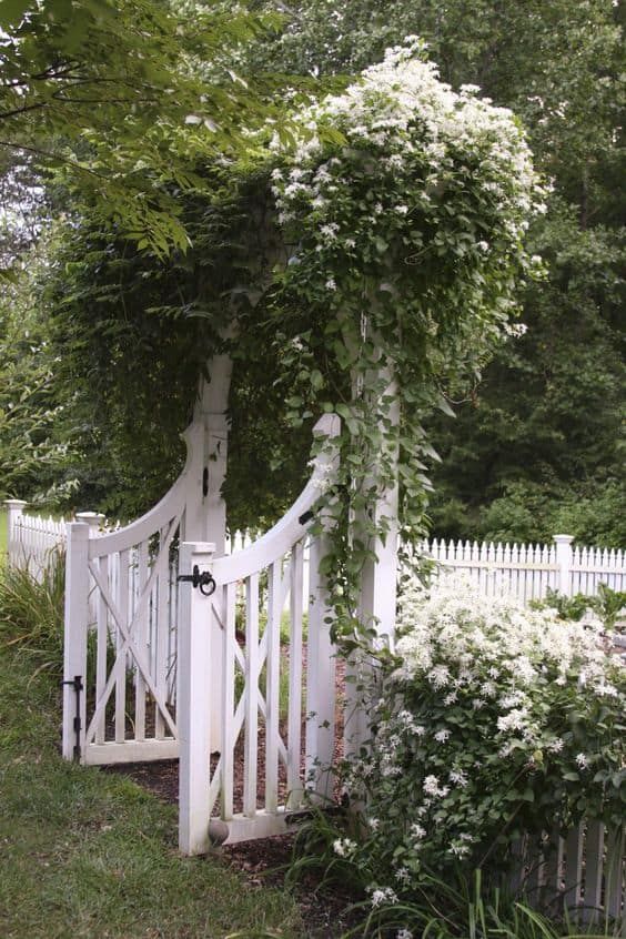 Creative Ways to Upgrade Your Picket Fence