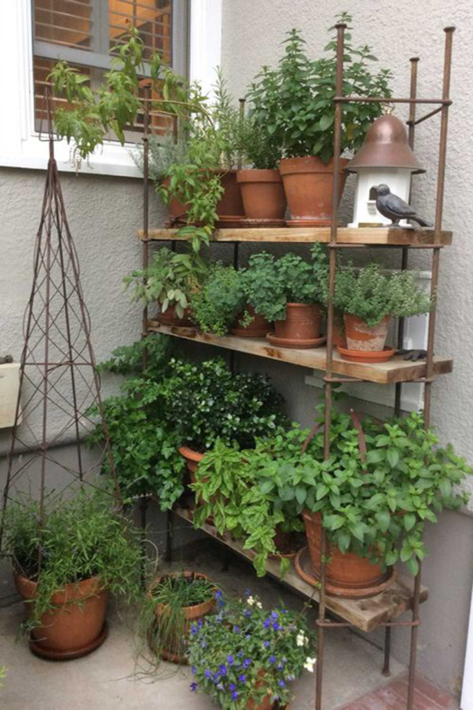 garden ideas with pots