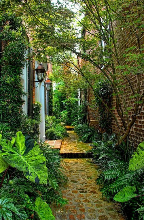 Creative Ways to Utilize Your Side Yard for Maximum Space
