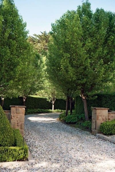 Creative and Beautiful Driveway Designs for Your Home