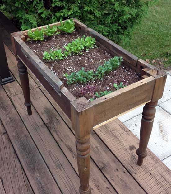 Creative and Budget-Friendly Garden Planter Ideas for DIY Enthusiasts