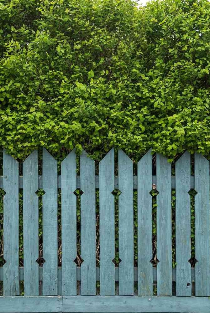 picket fence ideas