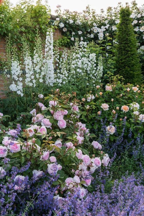 Creative and Colorful Cottage Garden Inspiration