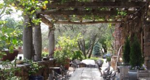 backyard pergola ideas