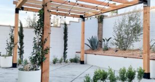 backyard pergola ideas