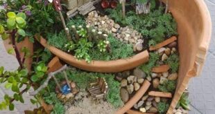 outdoor fairy garden ideas