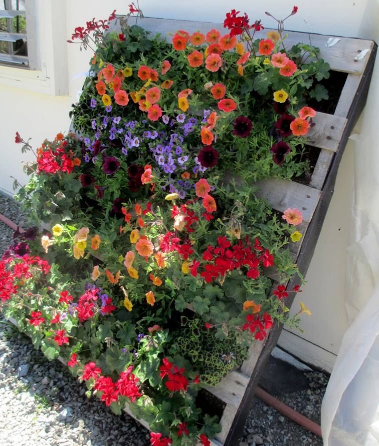 Creative and Stylish Ideas for Garden Planter Decor