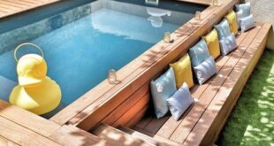 oval pool deck ideas