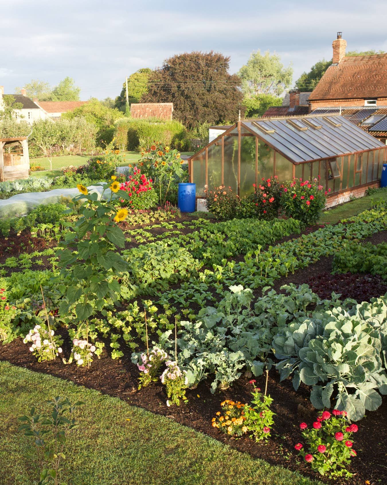 Creative and Sustainable Vegetable Garden Designs