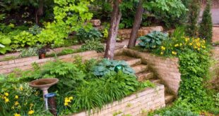 retaining wall ideas