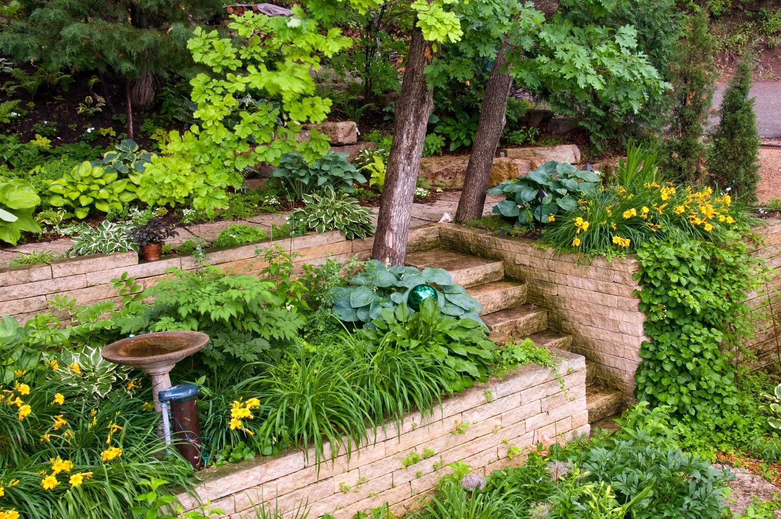 Creative solutions for enhancing your landscape with retaining walls