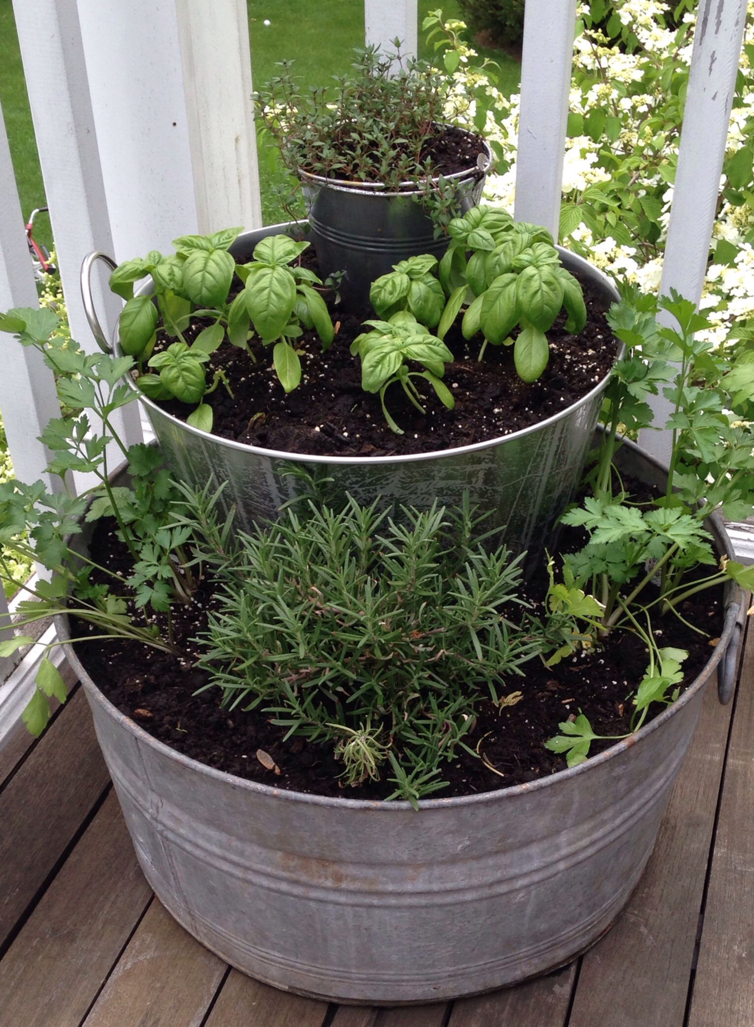 Cultivating a Compact Herb Garden with a Planter: A Green Thumb’s Dream