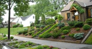 landscaping sloped front yard
