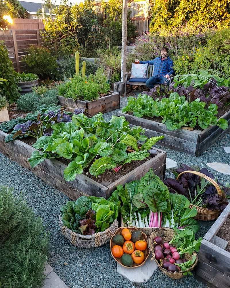 Designing a Cozy Garden Space: Tips for Small Garden Layouts