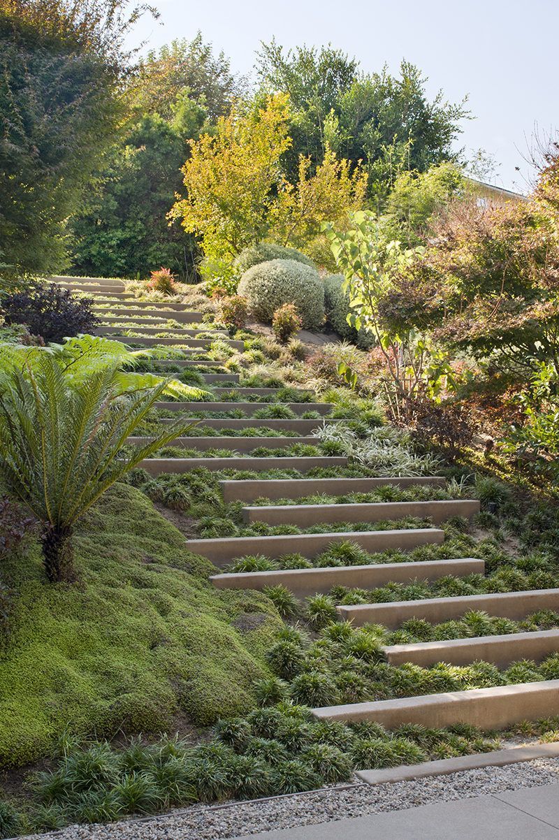 Designing a Garden on a Sloped Terrain: Tips and Ideas