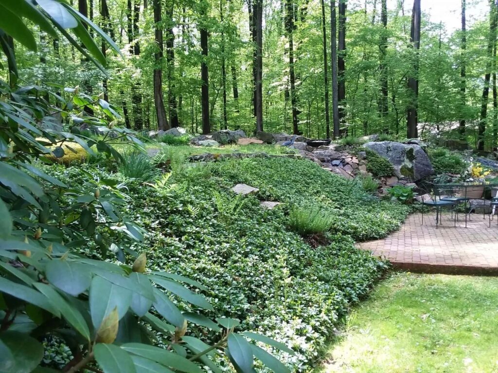 landscaping on a slope front yard
