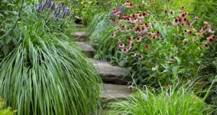 landscaping on a slope front yard