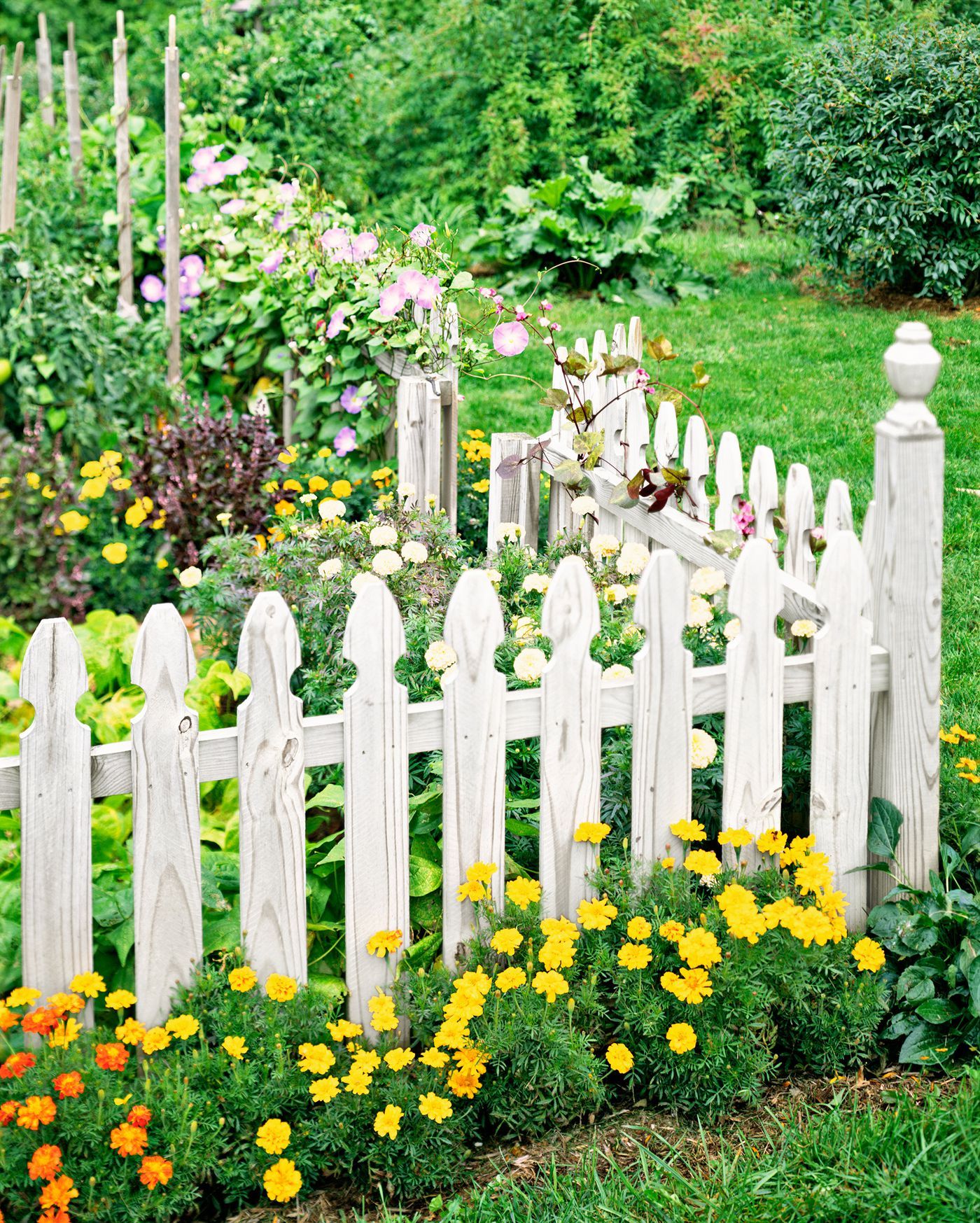 Different Designs for Picket Fences to Enhance Your Home’s Appeal