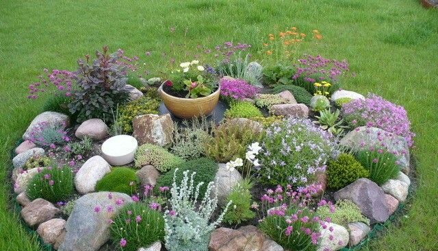 Discover Creative Small Garden Rockery Designs for Your Outdoor Space