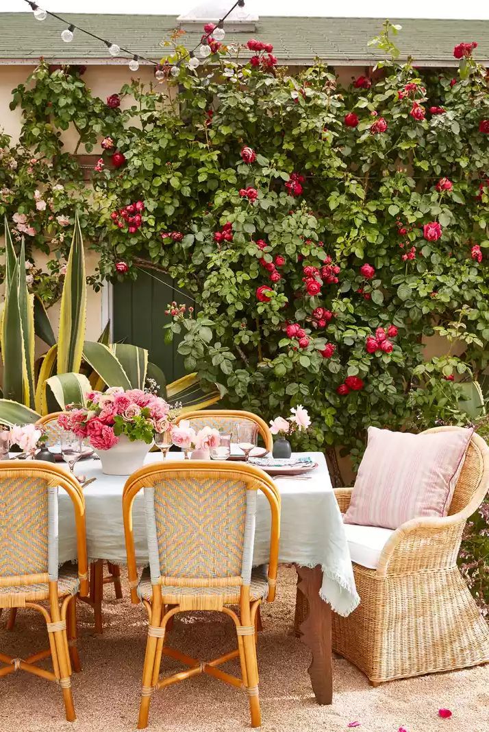 Discover the Timeless Charm of Rattan Garden Chairs